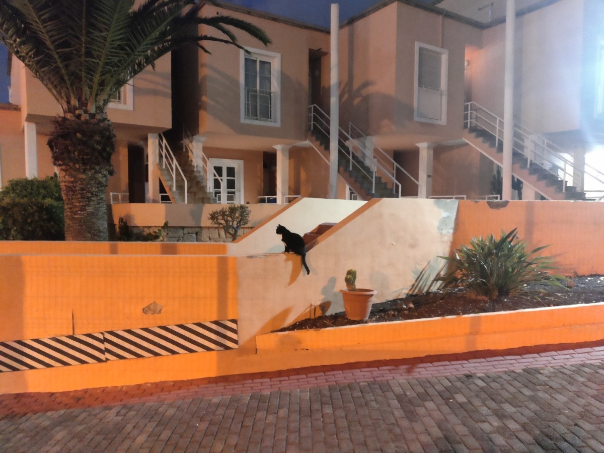 2e98b2b2-ef5b-4afa-ba6f-70a4c78d1b51