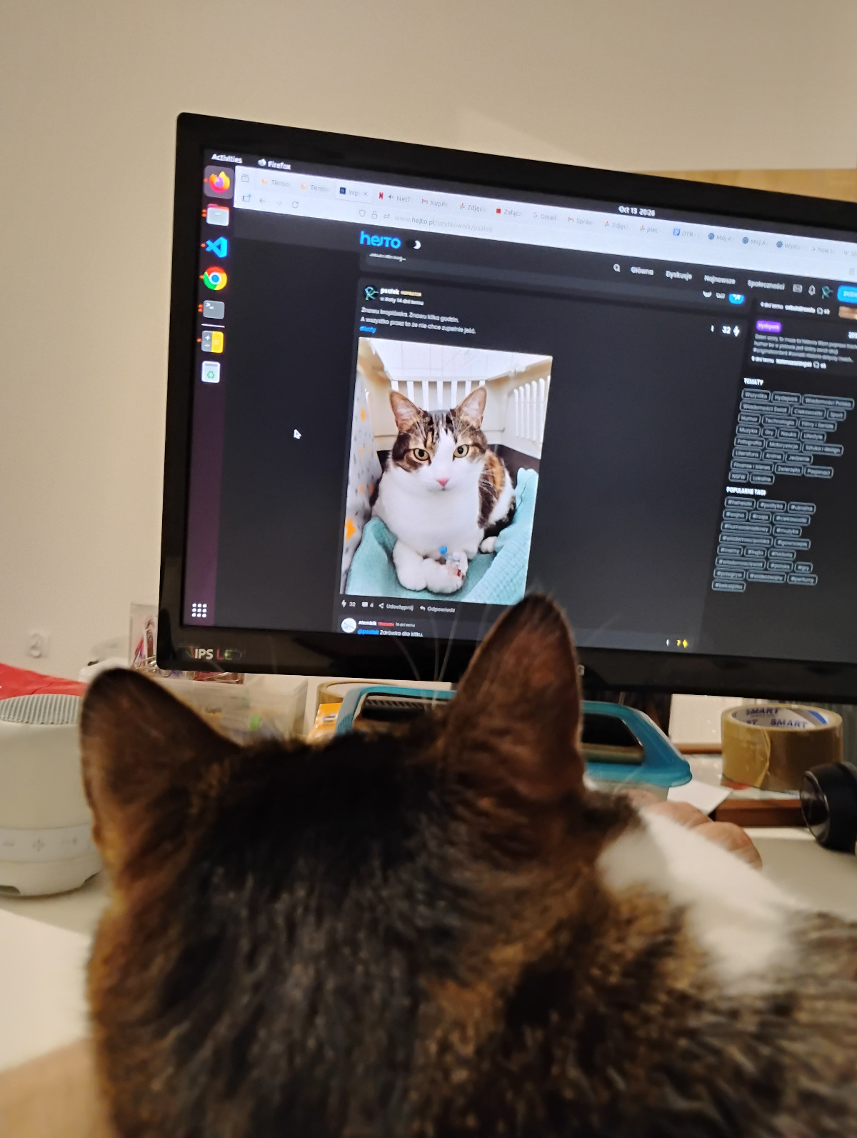 acdf9a9e-b530-4db8-aaf2-c169dfa8620a