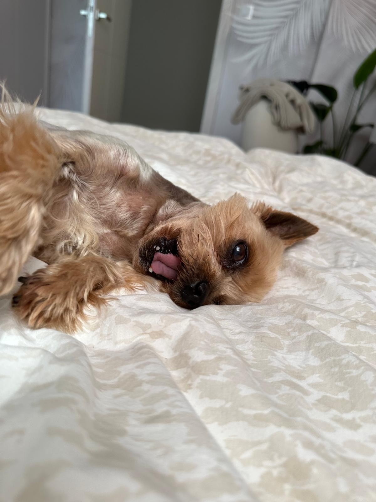 e0d222ab-0cf7-4ba3-b853-662342687825