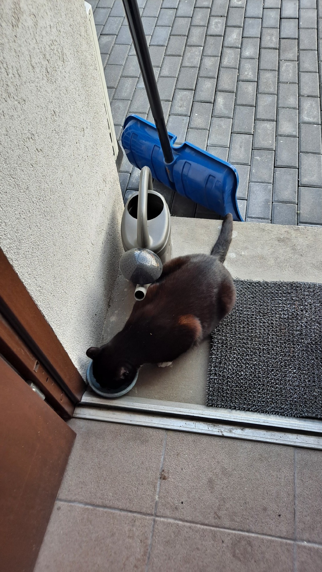 ee7110a5-bace-4301-8730-8e37e54bdf63