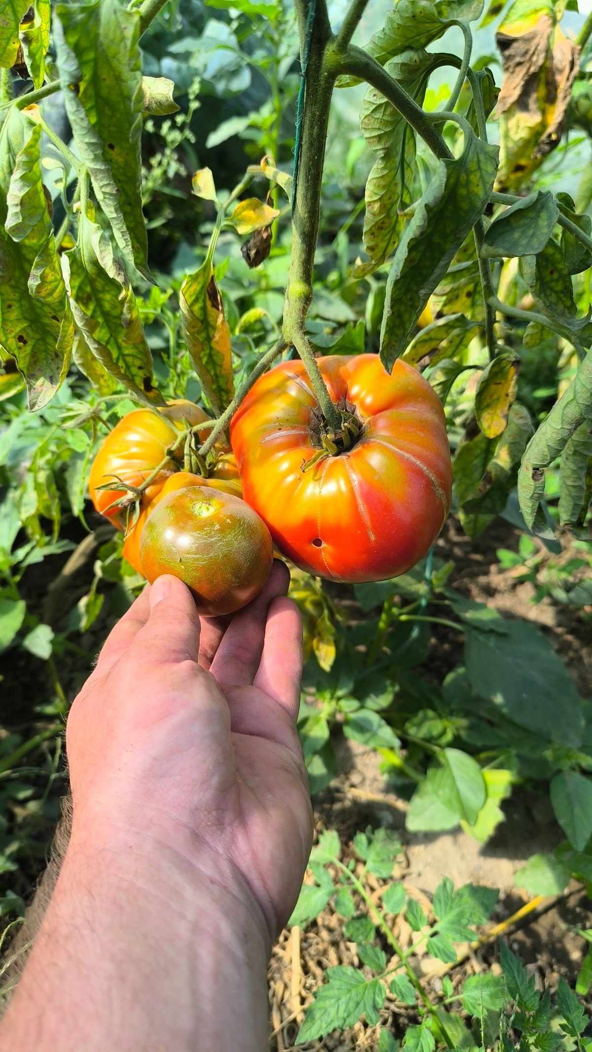 ffbd0e9d-0feb-4a26-952d-ee9823695eb3