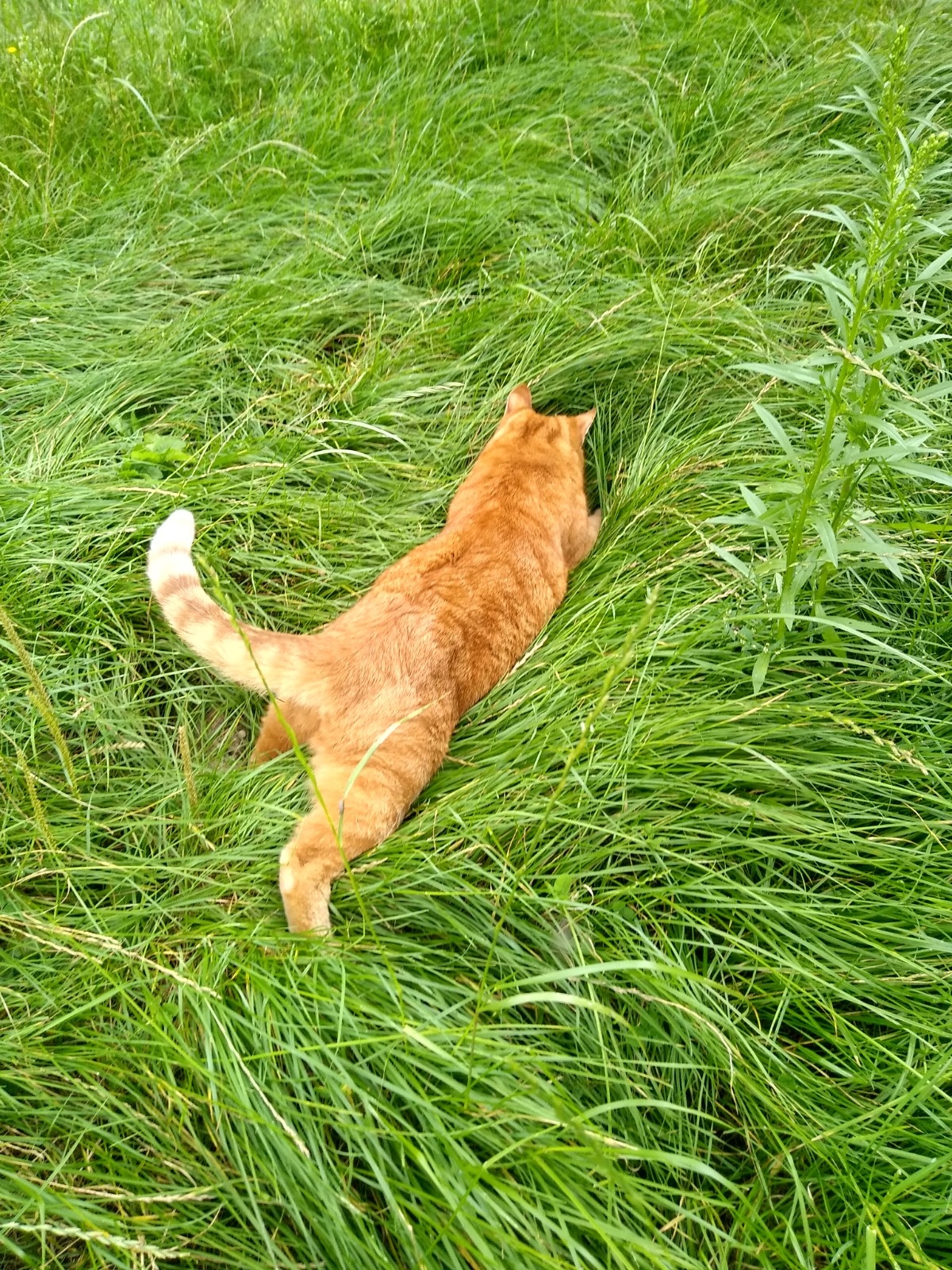 36021f95-70e8-4ffa-b604-7c8d455b3d8d