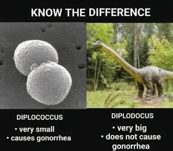 f6a07fd6-19eb-46d8-a00a-7fd7a13eb188