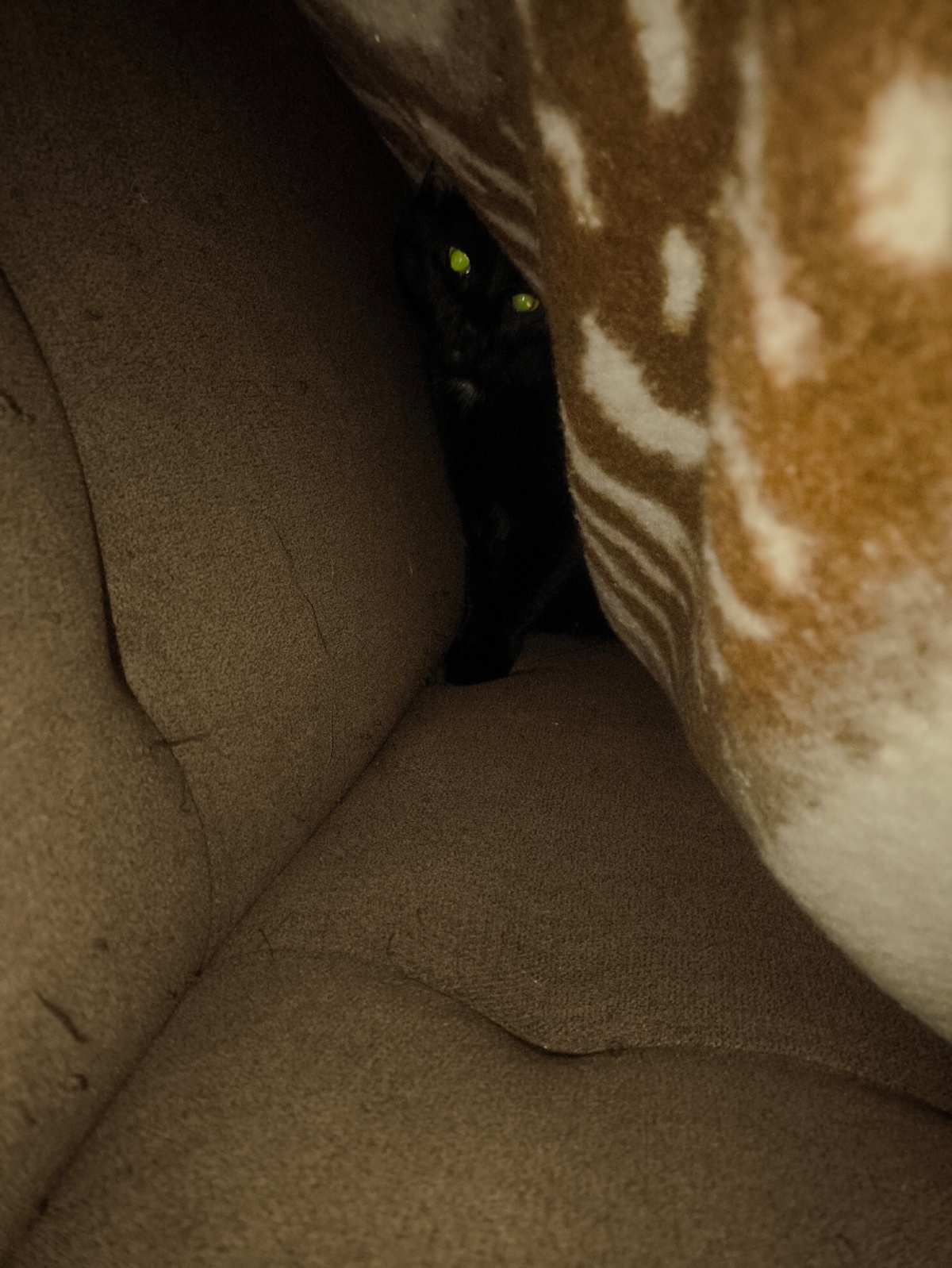 d359f71d-b1bb-432e-af61-5c9b4a47b0e2