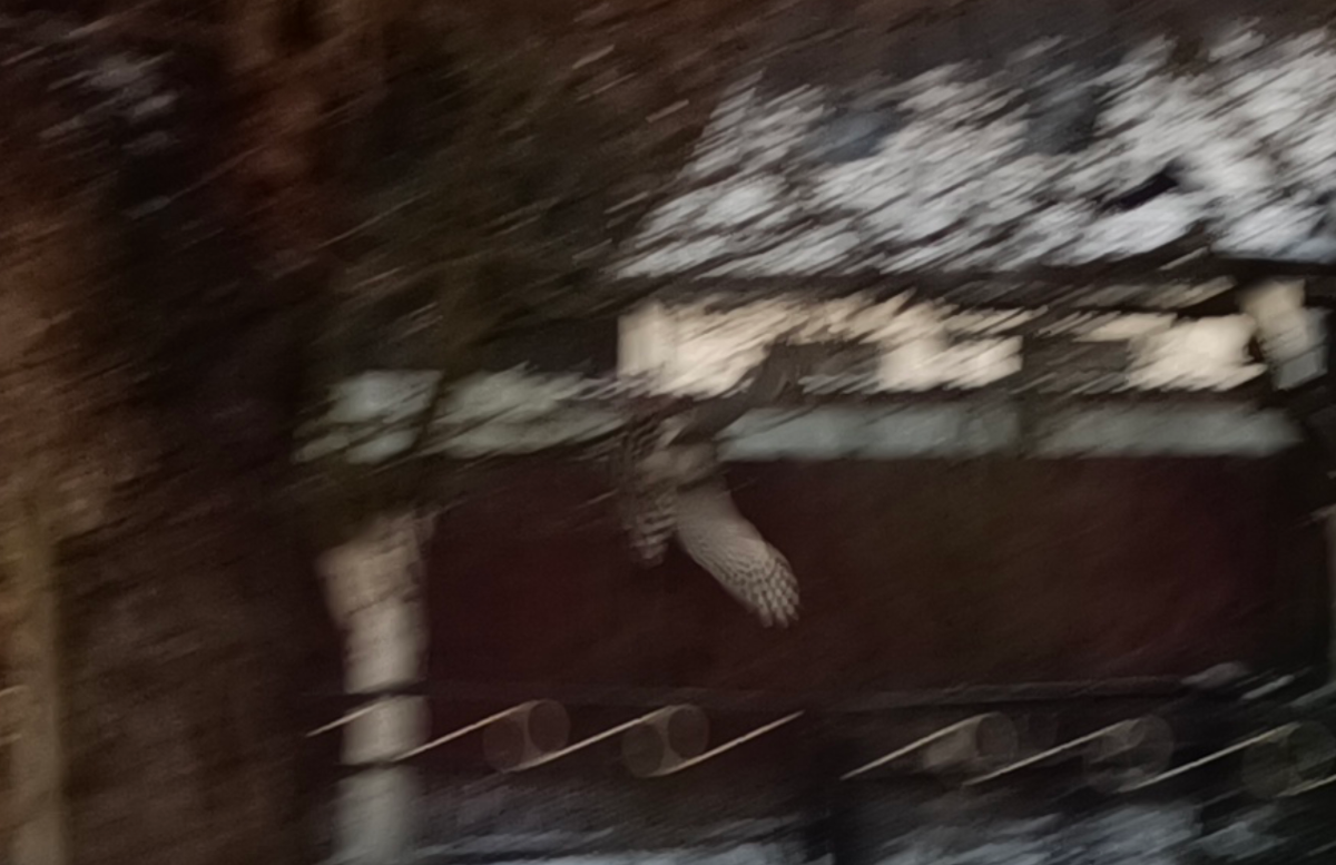 9351db72-09e1-4ea6-ae8c-a9a447353ad9