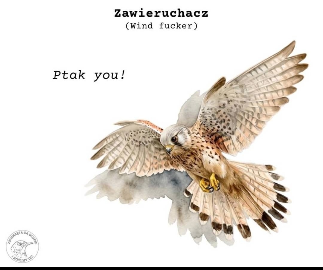 dcc93703-168c-4b77-a465-eacb44dab807