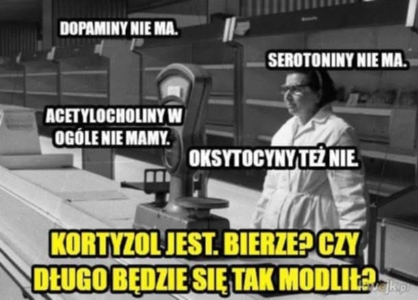 fa4d7381-8684-4e82-a1a8-f5d252b60e54