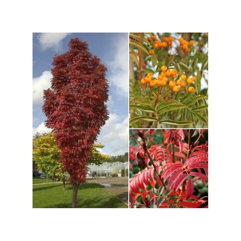 8d04ee11-7606-434d-a73d-b7767e76b4d1