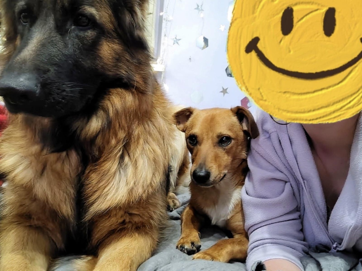 a20ec536-675d-448c-9c93-6d0545bebf14