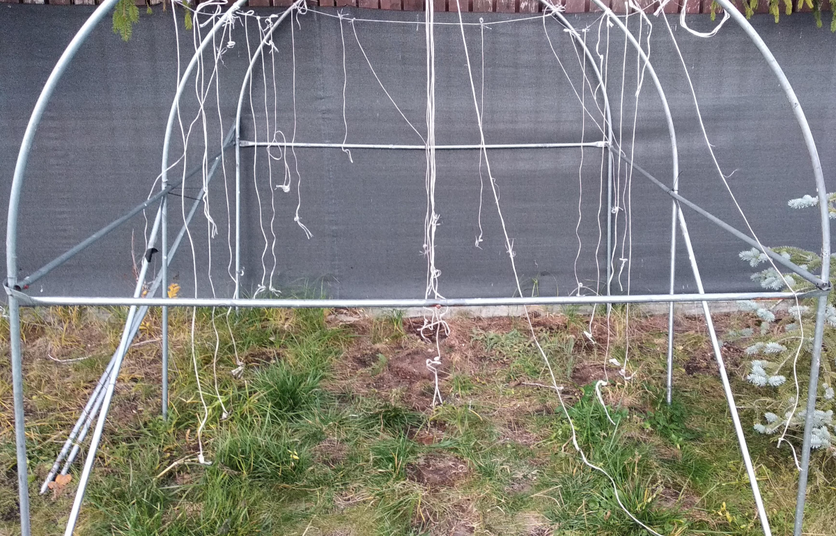 dd824343-3303-44e1-b6fe-2968cf6d1340