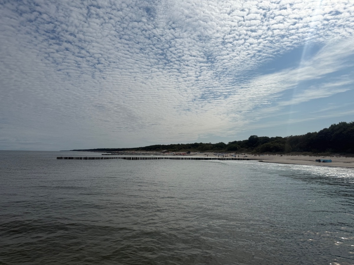 d999cae2-7d6a-44d2-adc9-424f38a694b4