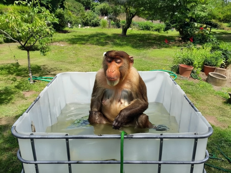 4f12bc4e-3de7-4b45-bfdb-bcc8176fc473