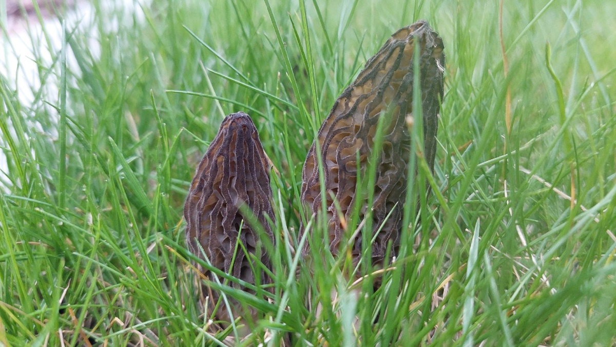 5062a194-b955-42dc-81fc-aaf63fc694d0