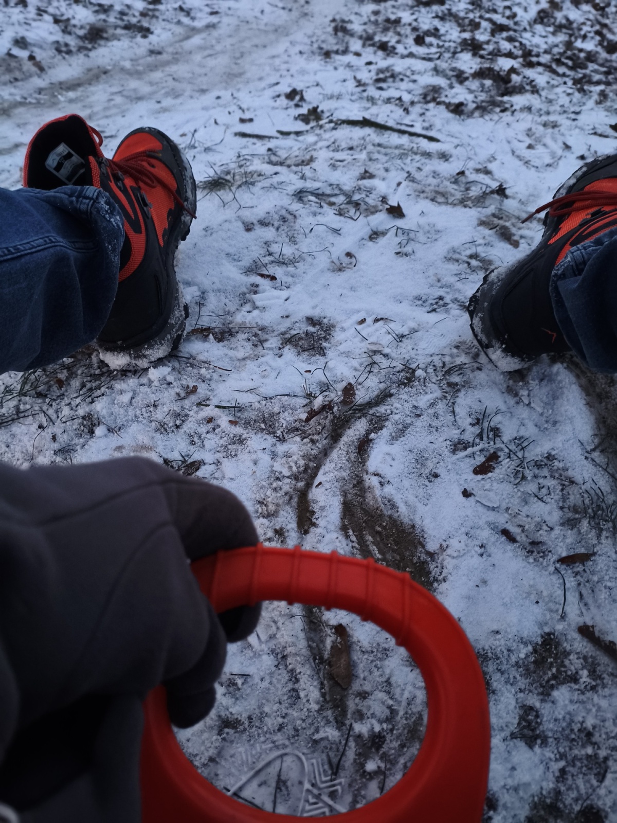 1152713d-c27f-42e3-abd6-89c22ca9db1b