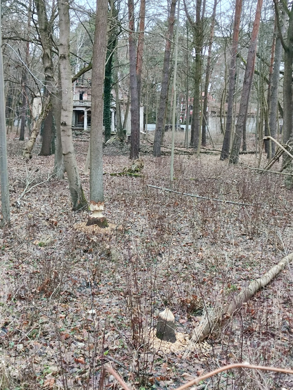 b7d4fb8b-f61b-4baf-996e-78f6bf3aec69