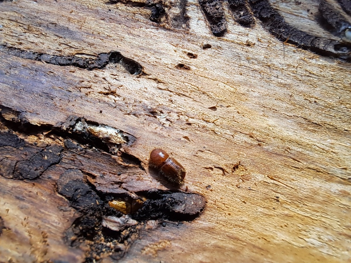 d05f3071-3101-4f66-96b1-379ba073b98b