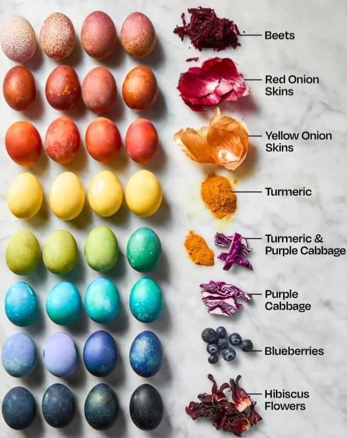 630db8a2-b64f-4b94-9aa4-c82dff62a691