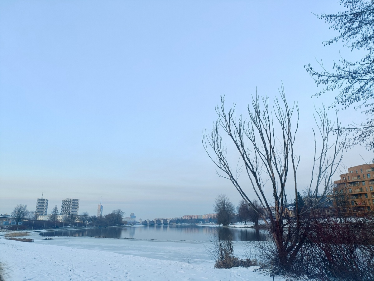 453cc90b-01ab-4bec-a19e-f040488844aa