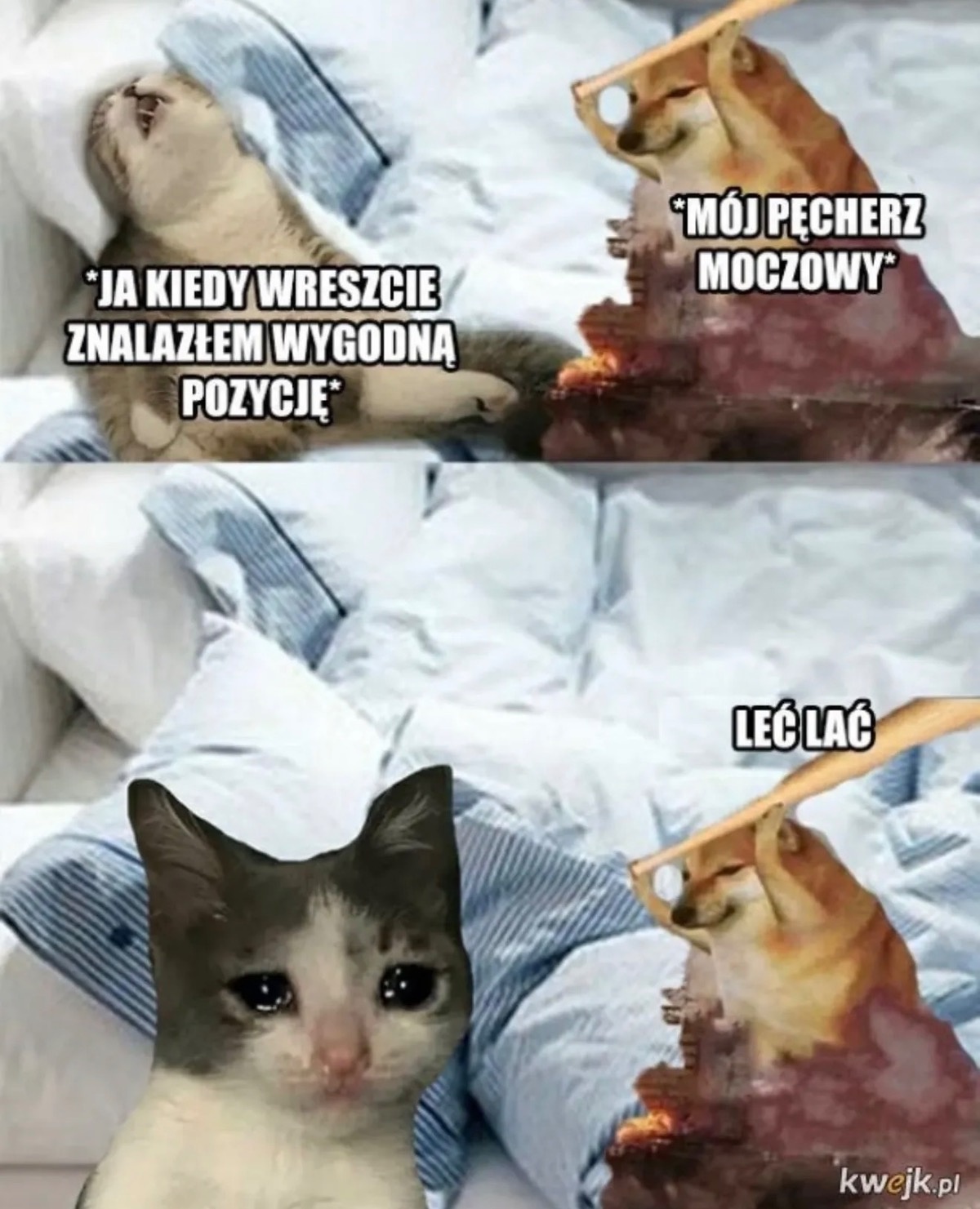 02ba0041-b861-4d3f-b7df-adde8529d163