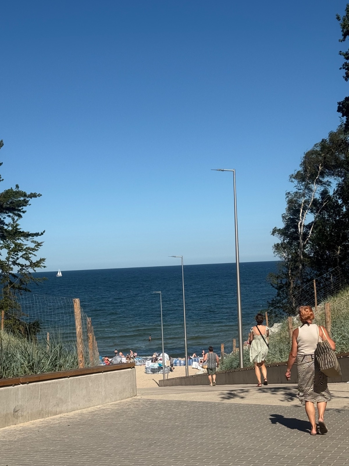 ed9f8baa-488f-45df-9952-c1bbf0c5af2b