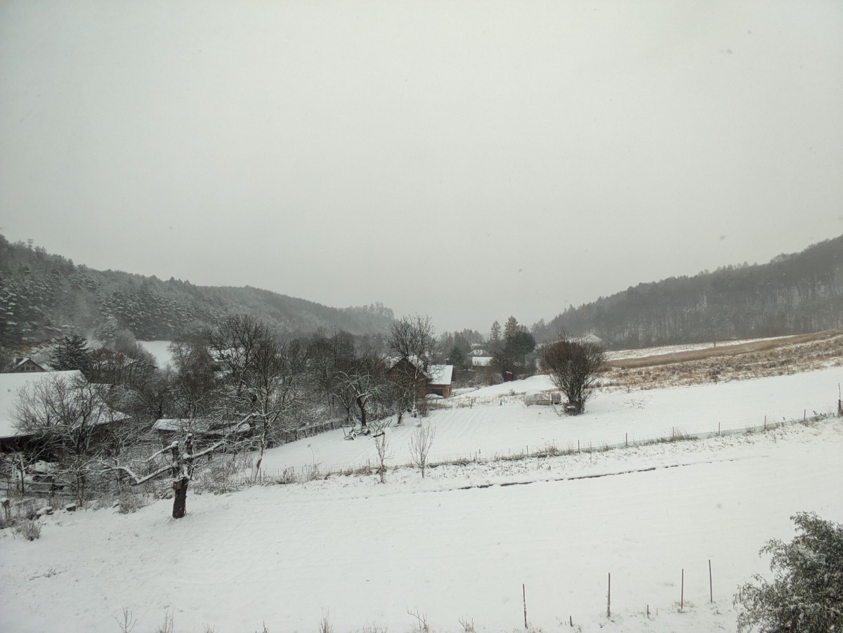 226163c7-9051-455a-bce5-020067fa3c85