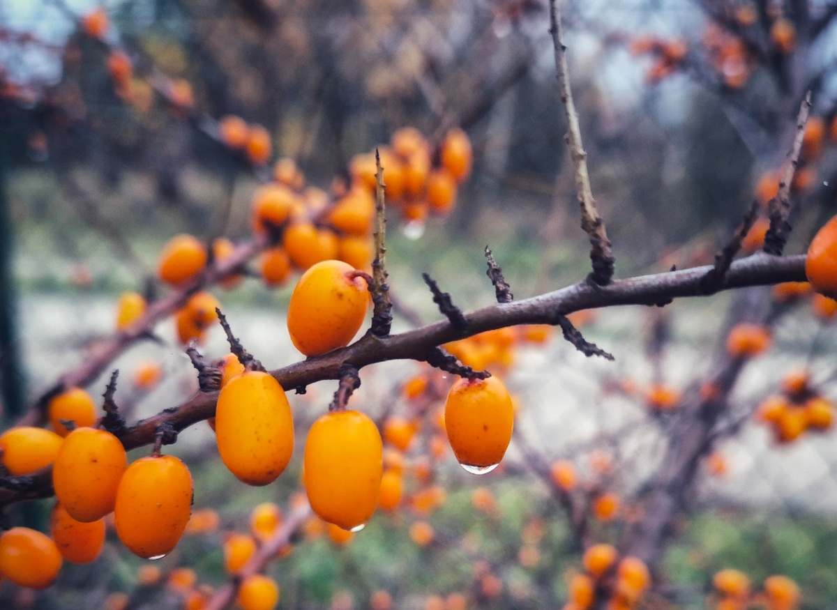 9e5e2786-4da7-46de-afed-927221b243dc