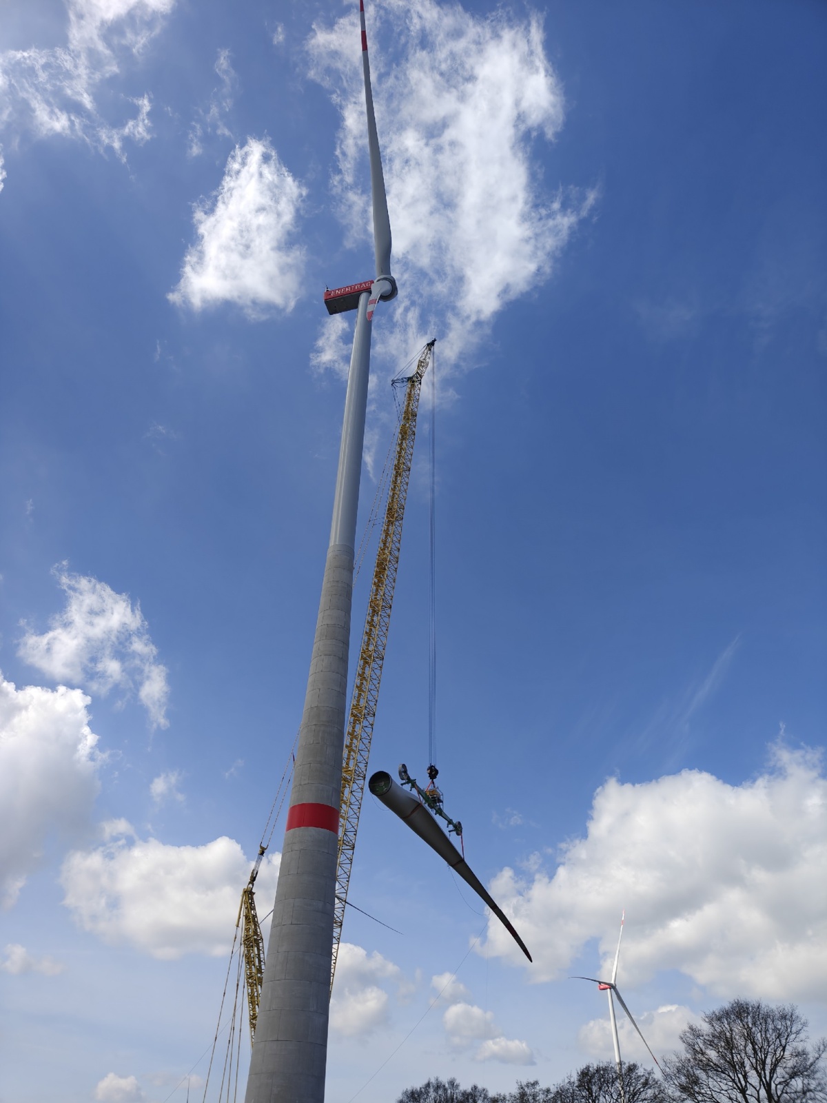 11e632a8-06bb-4c1a-87d7-8248e24dede5