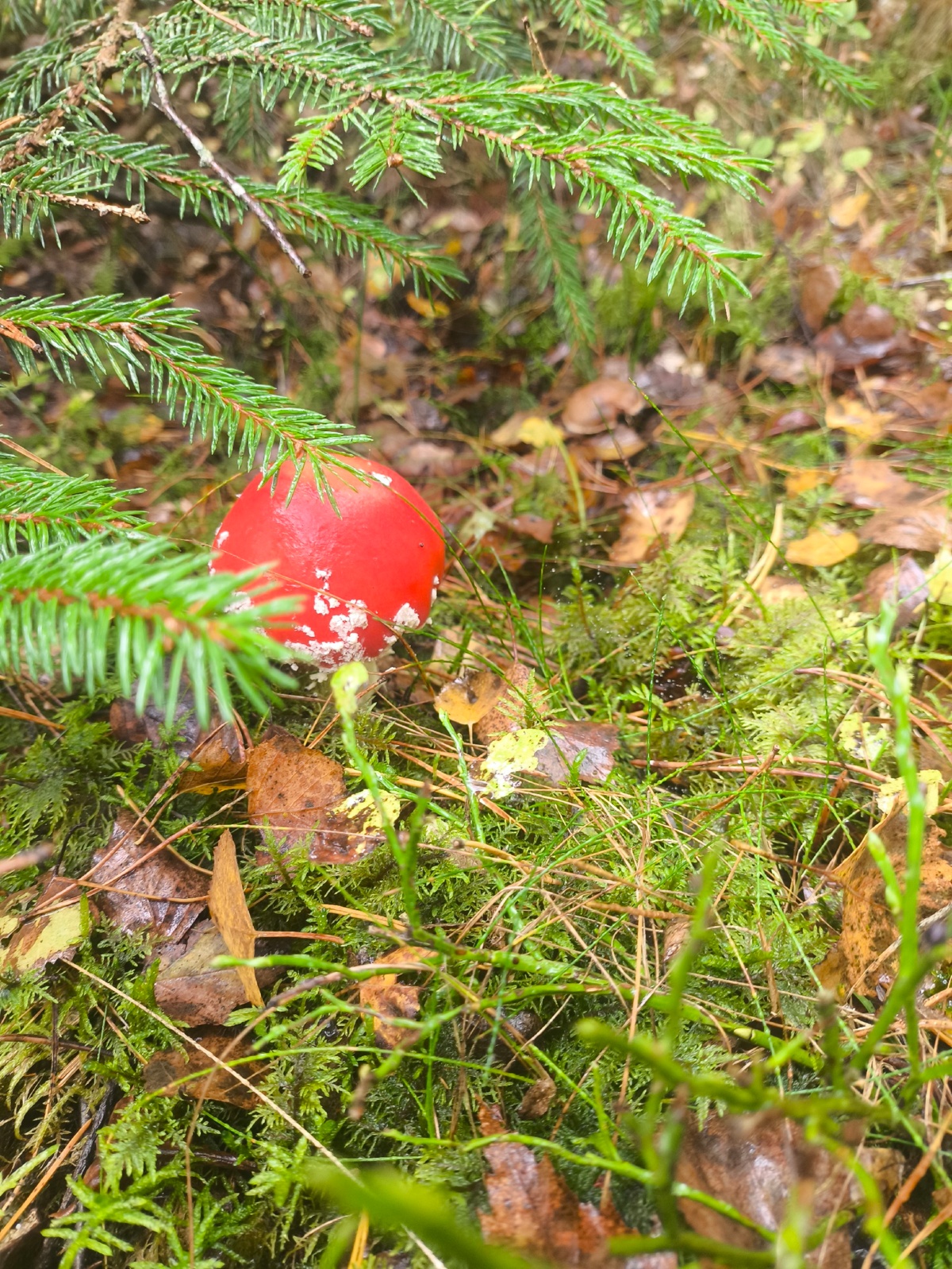 e353af12-0548-422d-b75e-7f3681b8f43f