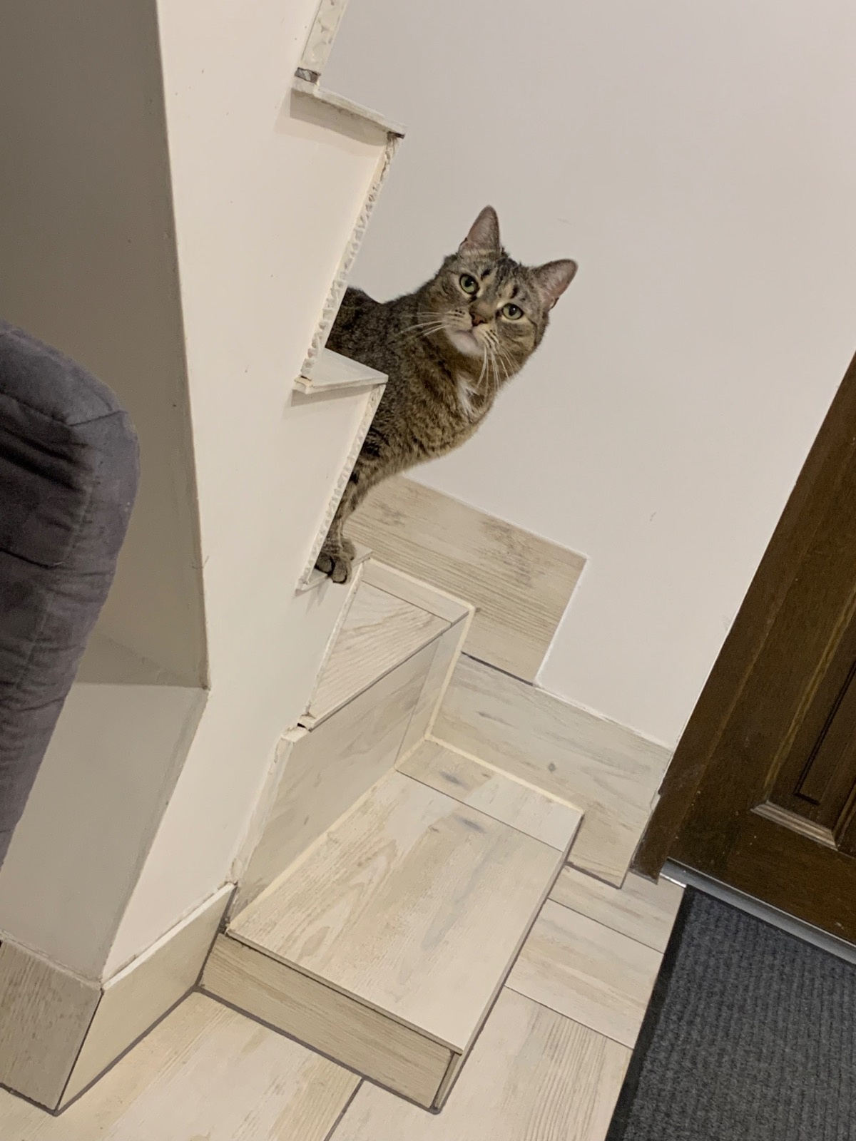 caef3a81-c83e-48d3-953c-664197ec27ad