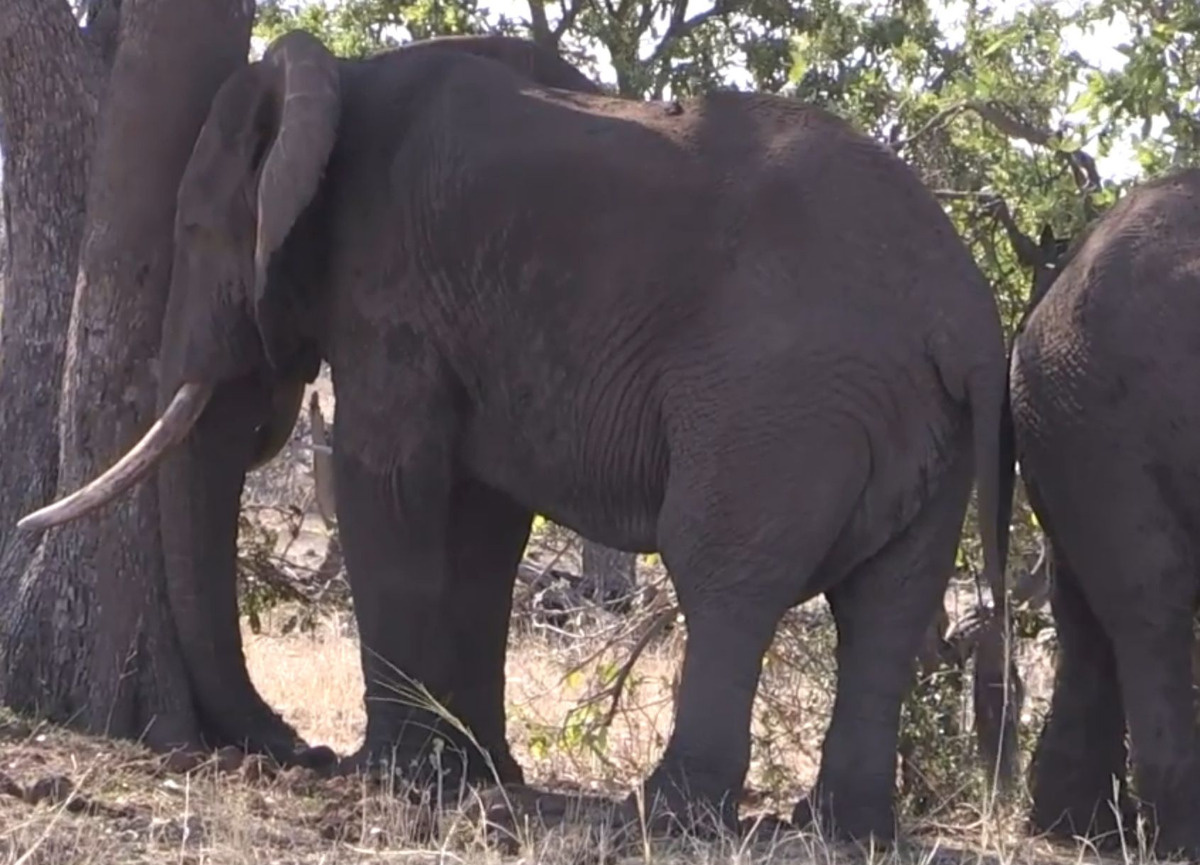 1e91f8bd-463d-4be5-8ae4-84b4013bd7f1