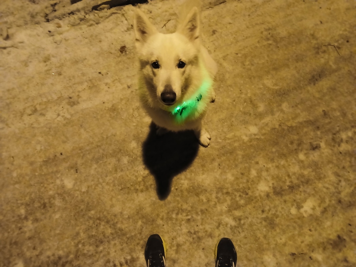 d794eb1e-bf8b-4344-819a-248a2b9f0f69