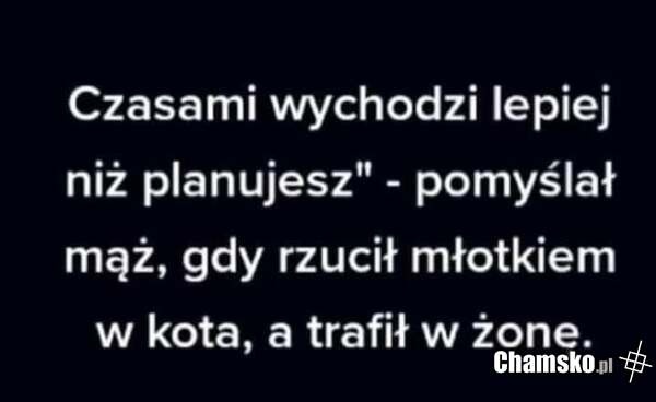 d0e2cd97-6537-4d11-8137-a31a37e9731f