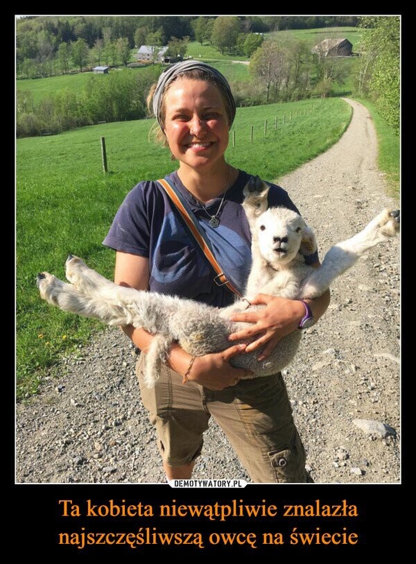 cc3236a0-847a-45b0-868a-6daf72b97b19