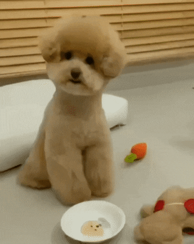 45c07f25-ab59-48b7-8f64-c3b45797adff