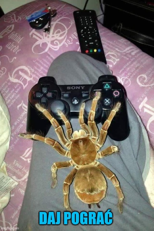 fb06d752-8a43-4681-bb59-5cf5ac13d5ba