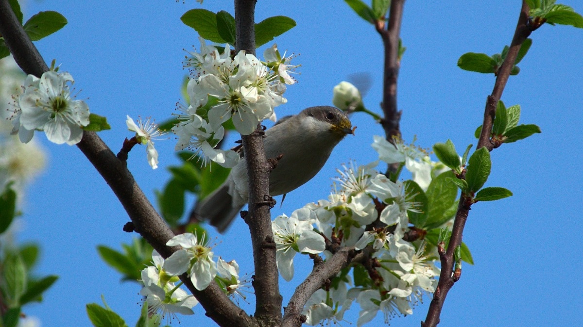 ff9574ce-70ad-4037-bd43-a66363e0bf40