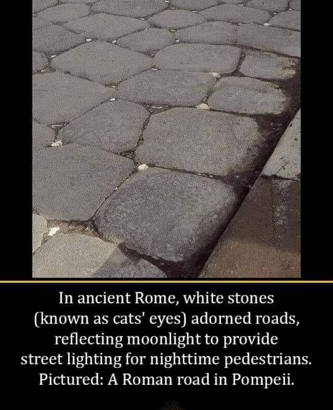 dd2ef57c-1b59-4d64-a493-3d985c938813