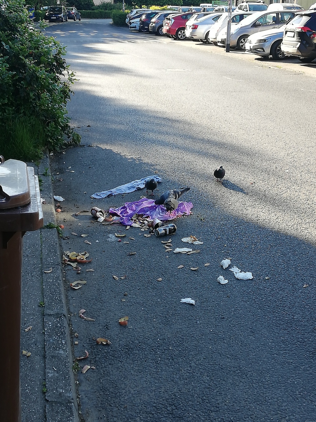 e53a5942-0261-44ff-ba39-bd4d9a3f18cb