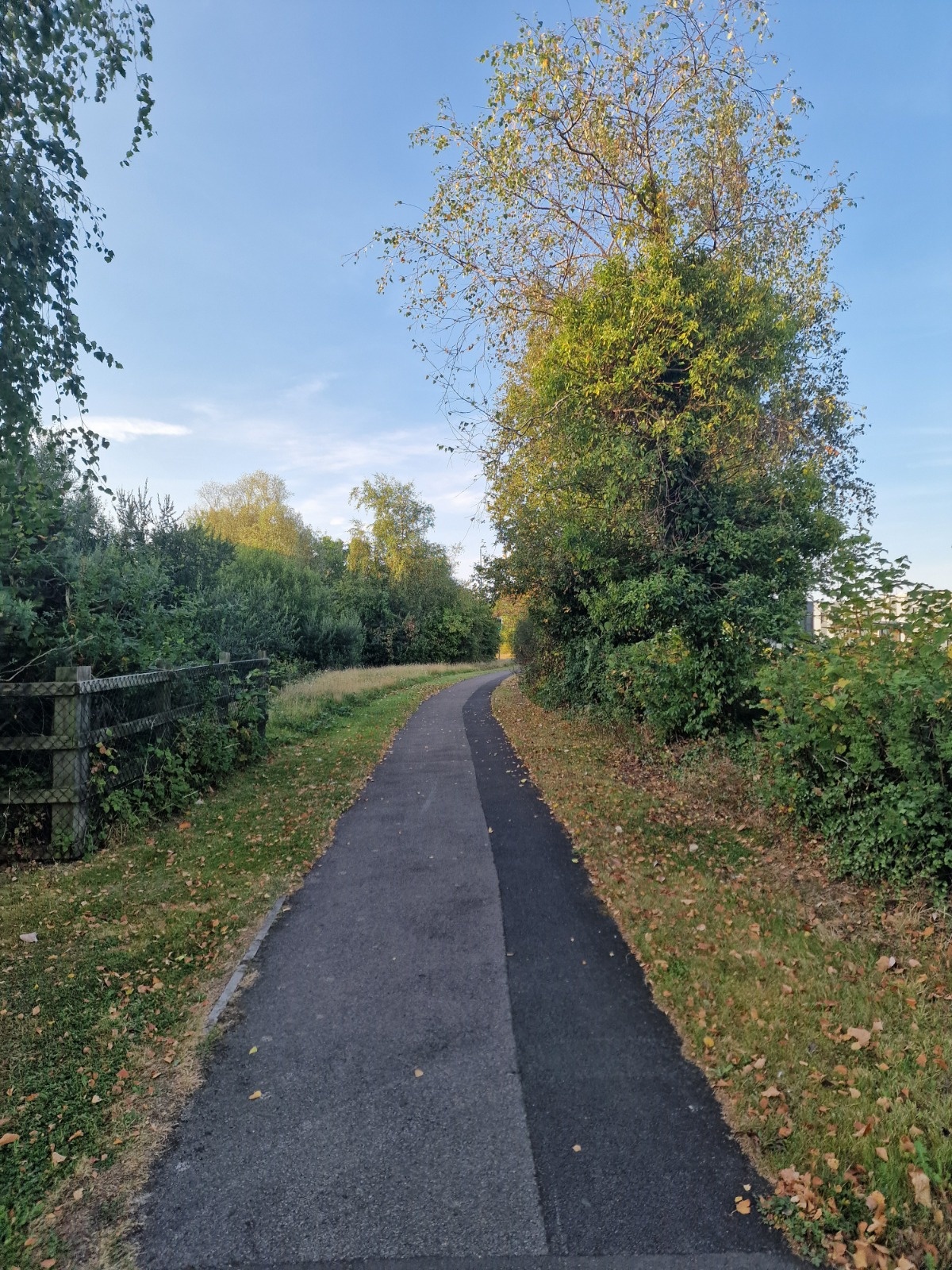 38b58f23-22cb-4c99-9774-369236a621ff