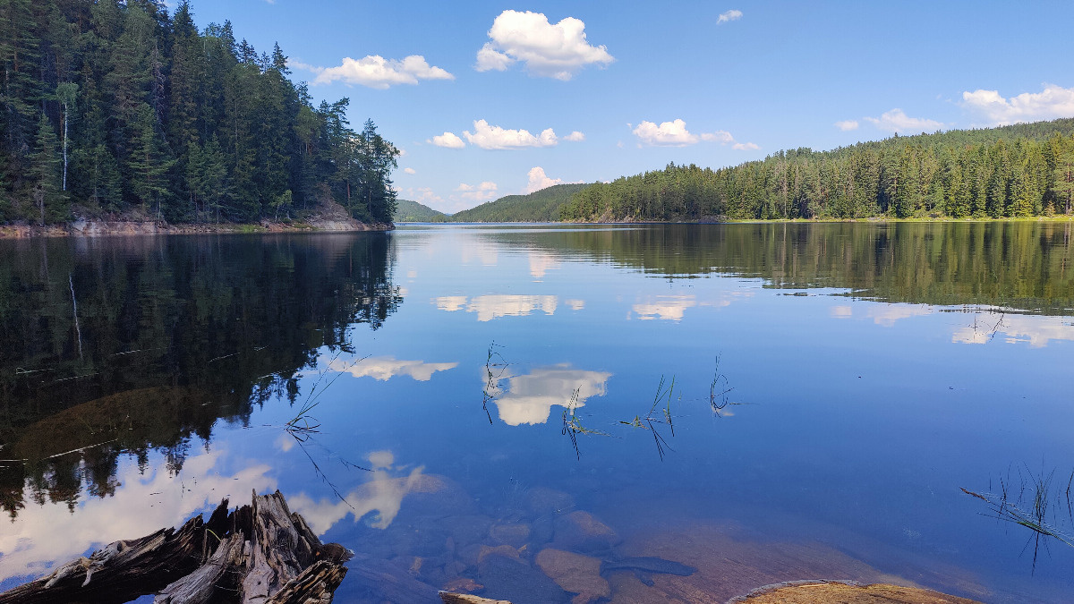 87879ccc-cc04-4972-af68-cc5bc8266f8e