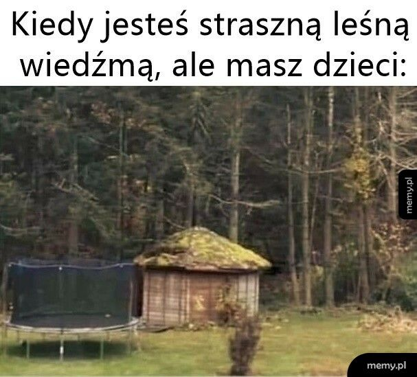 93355855-a5c8-4b07-9887-a80dedee146e