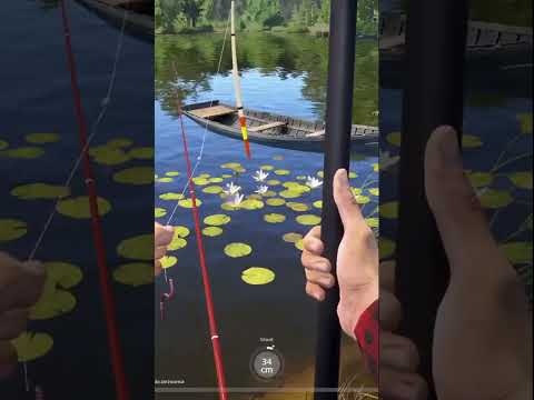 Mój pierwszy linek! 🎣 #shorts