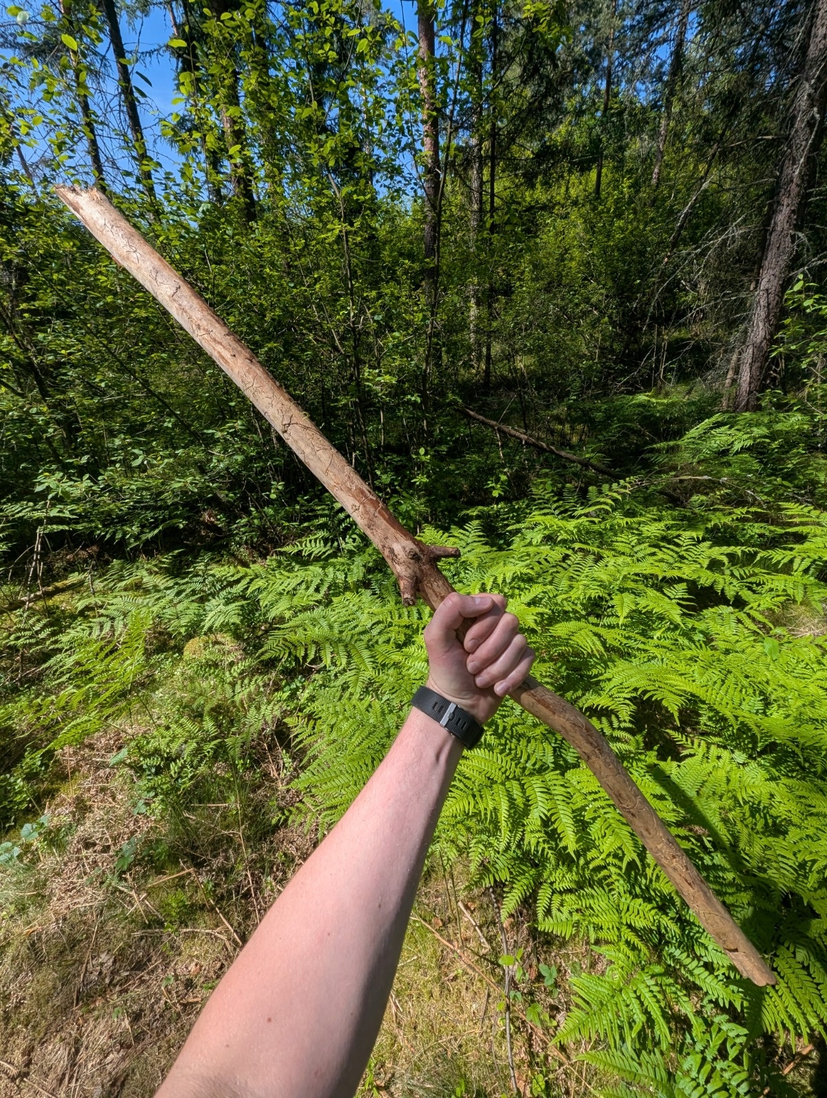 852160db-bfa4-49be-b3dc-37700283d0b3