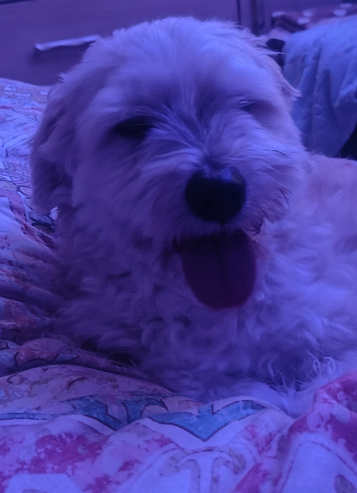 fee204a1-5d88-42c2-b4bc-81faa3e3b1f4