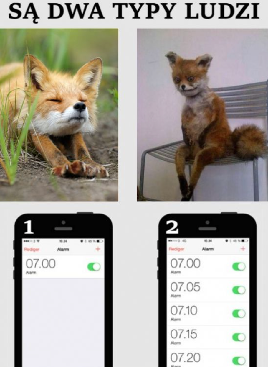 57216d28-14b7-4111-93da-abbd3be5d20b