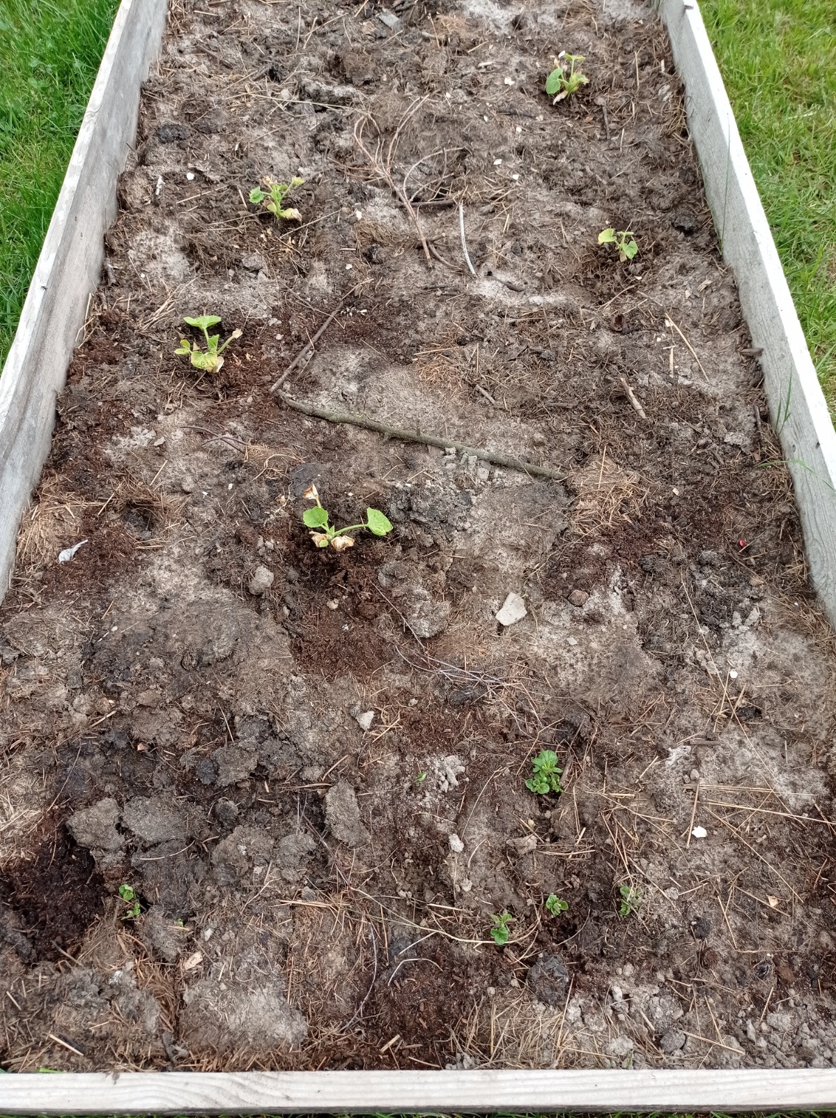 23521088-7651-4c33-a4a3-fb80ce70d00d