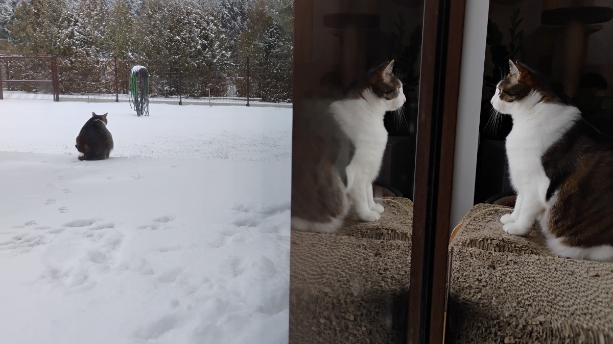 afa7d793-001f-4b77-9b22-c7ce69b16d96