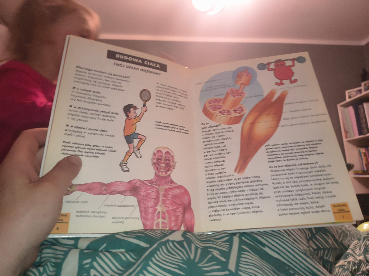 10fb3b00-e1c7-41f2-8430-652f2b42e1f2