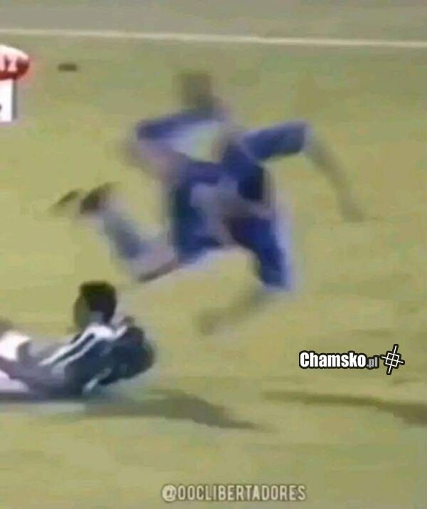 17612055-86dd-4789-8ccb-72fbf29edc8d