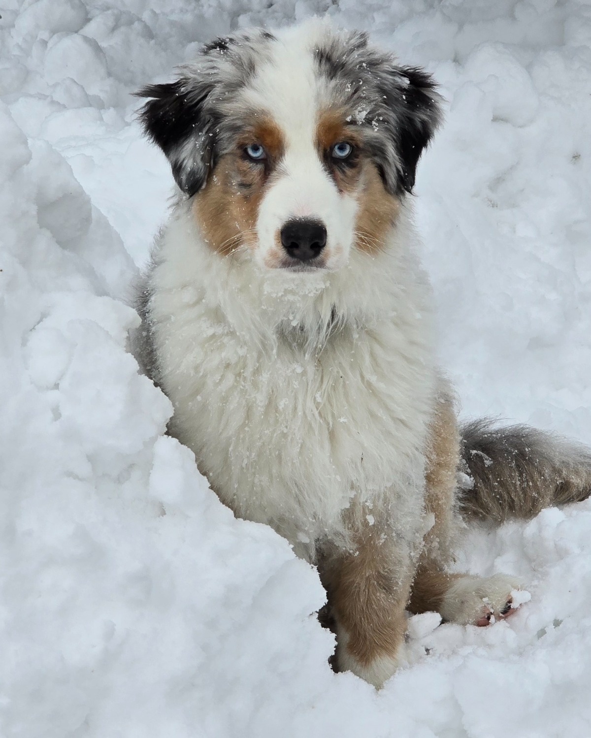 f3fd1e10-c63d-4c63-8333-2078cb8bf992